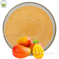 Wholesale 100% Pure Powder Mango Powder Price